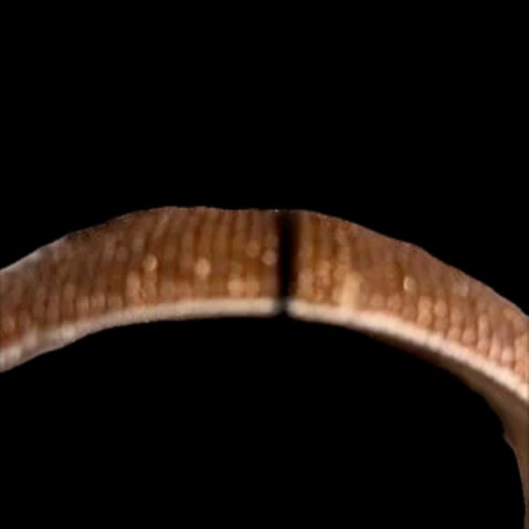 NWT ladies or girls headband with super sparkles and by Natasha! Brand new ! - Picture 4 of 7